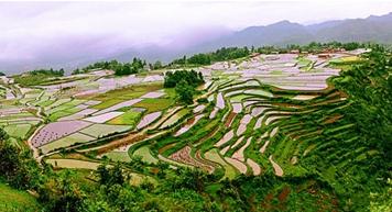 丘陵山區(qū)農(nóng)機(jī)化發(fā)展問(wèn)題分析及建議 www.trendve.com